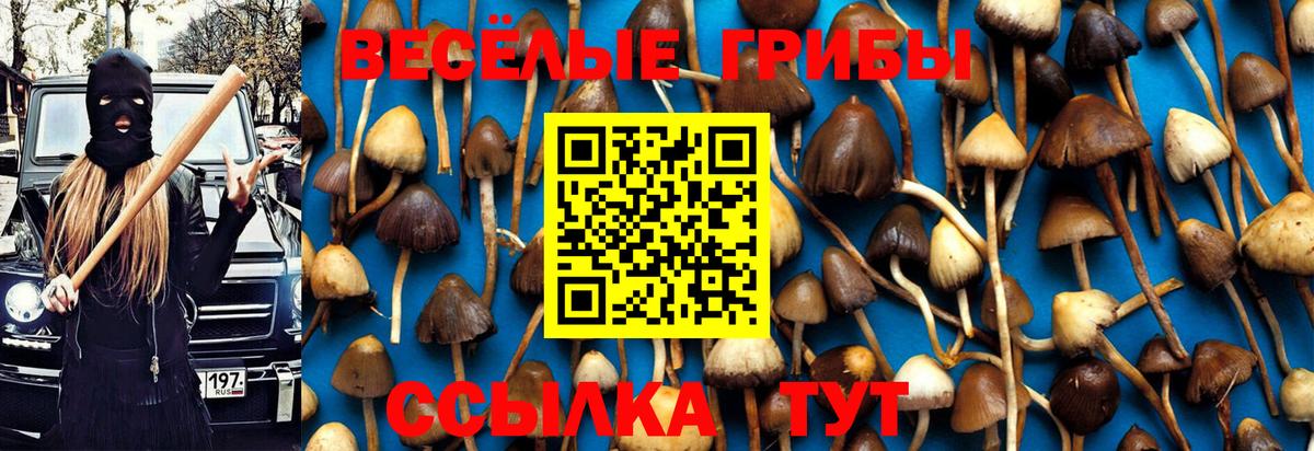 Галлюциногенные грибы Cubensis  Галлюциногенные грибы Psilocybine cubensis  Вход с VPN  Ессентуки 