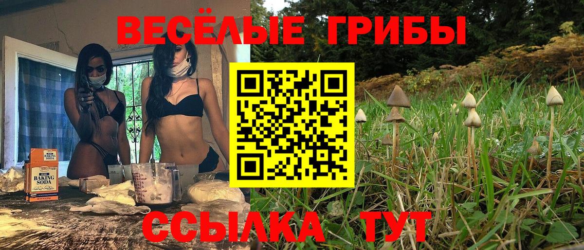 Псилоцибиновые грибы Psilocybine cubensis Ессентуки